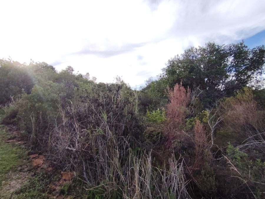0 Bedroom Property for Sale in Schoongezicht Western Cape